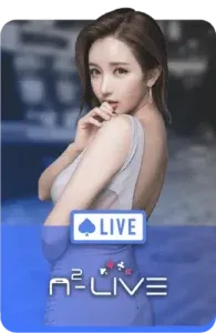 imgi_22_n2live-ezcasino-195x300-1